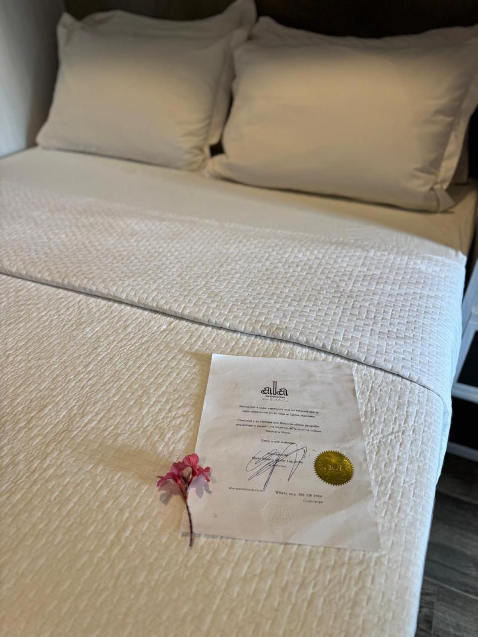 Hotel "Ala Residencias" Chetumal Bagian luar foto